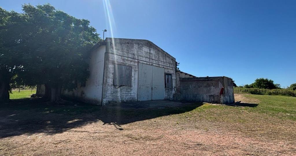 VENTA CHACRA PUNTA YEGUAS 33 HAS