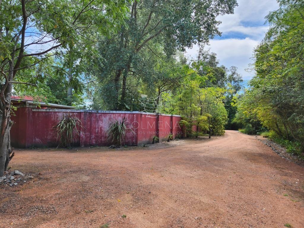 Venta chacra tipo quinta, Punta Ballena