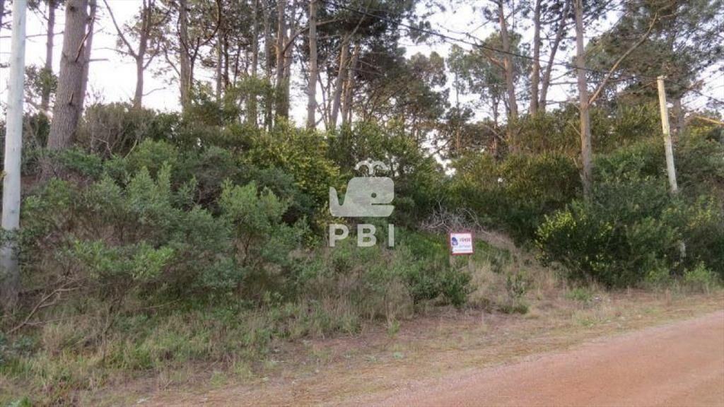 Terreno en venta Chihuahua - Ref : PBI904