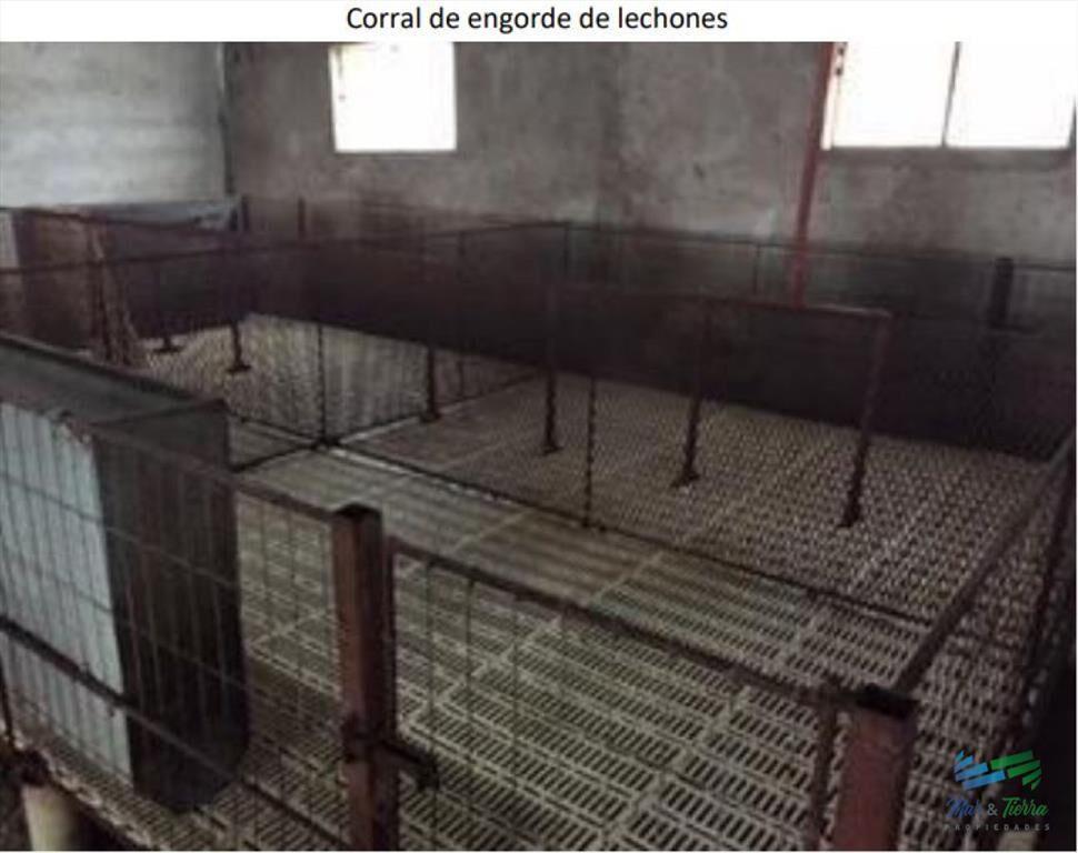 32 Has muy buena ubicación, suelos agrícolas a