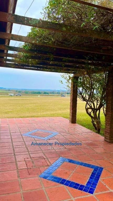 venta 60 héctareas Campo Río Negro