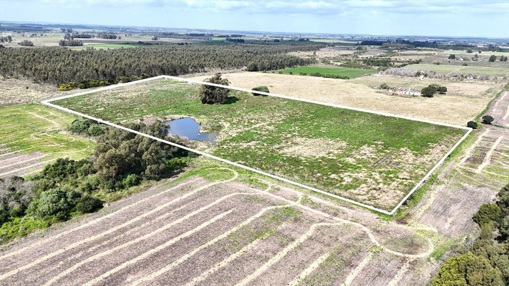 Vendo campo terreno 4,4 hectáreas c tajamar Sauce