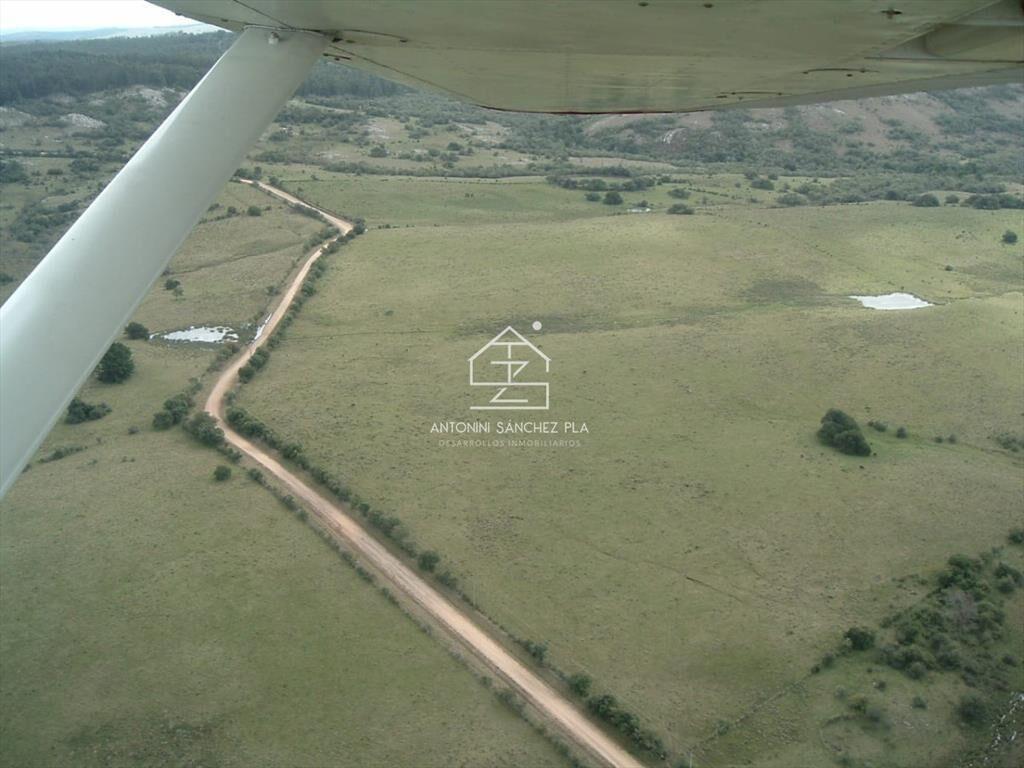 Venta Campo Ganadero Forestal Rocha