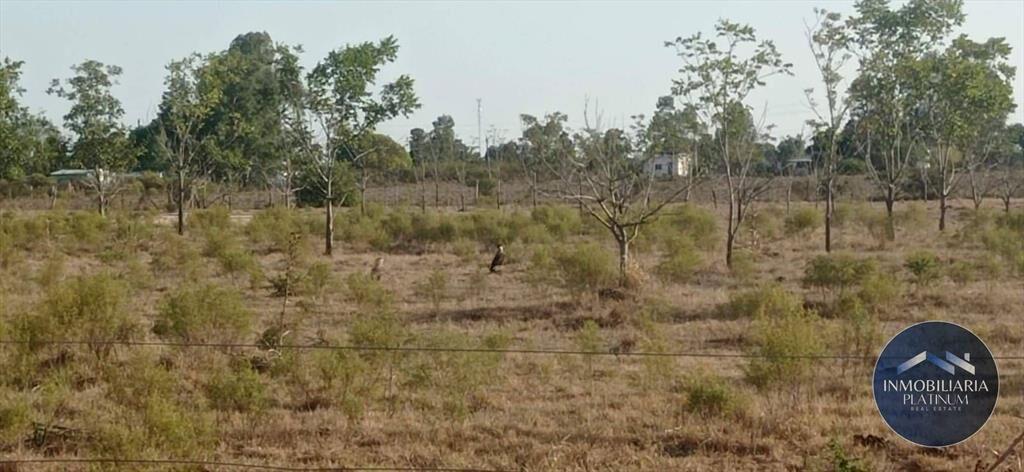 Campo en venta de 9503m2 ubicado en Santa Monica