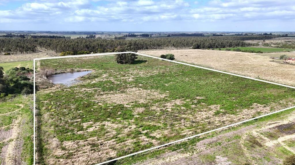 Vendo campo terreno 4,4 hectáreas c tajamar Sauce
