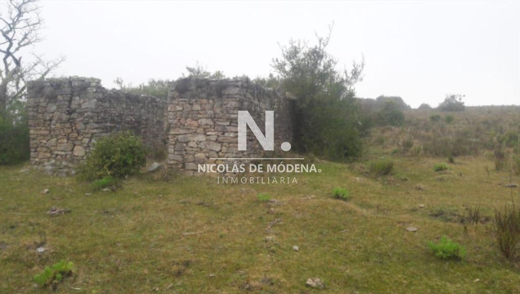 Campo Ganadero en Venta en Aigua