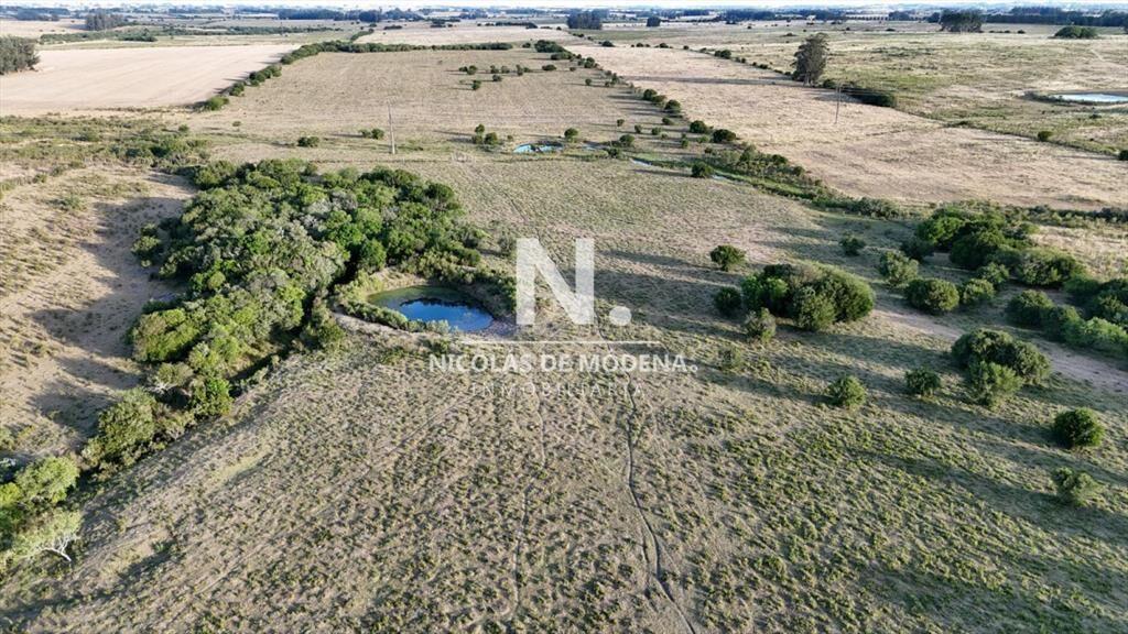 OPORTUNIDAD VENTA DE CHACRA 18 HAS 795 M2 ZONA DE
