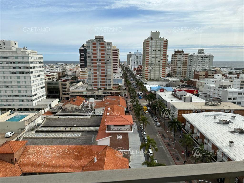 Peninsula piso alto con excelente vista