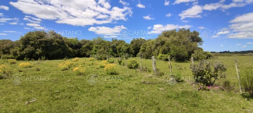 Venta 47has con casa, costa de arroyo y 5