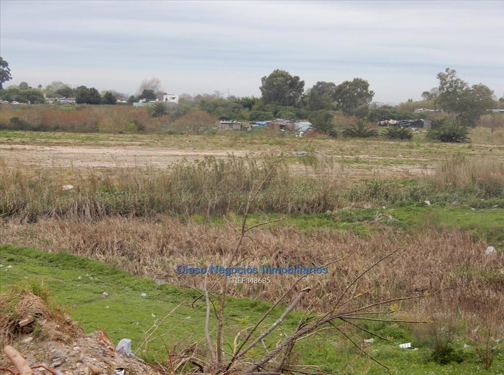 4 hás a la venta en CERRO NORTE