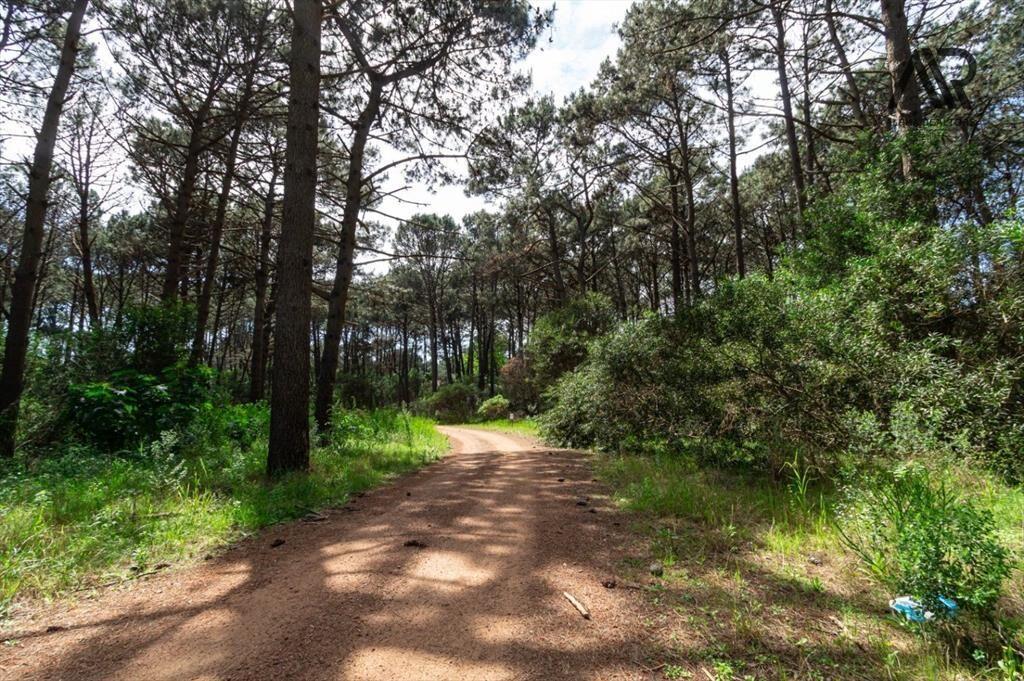 Terreno en venta de 1208m2 ubicado en Solanas