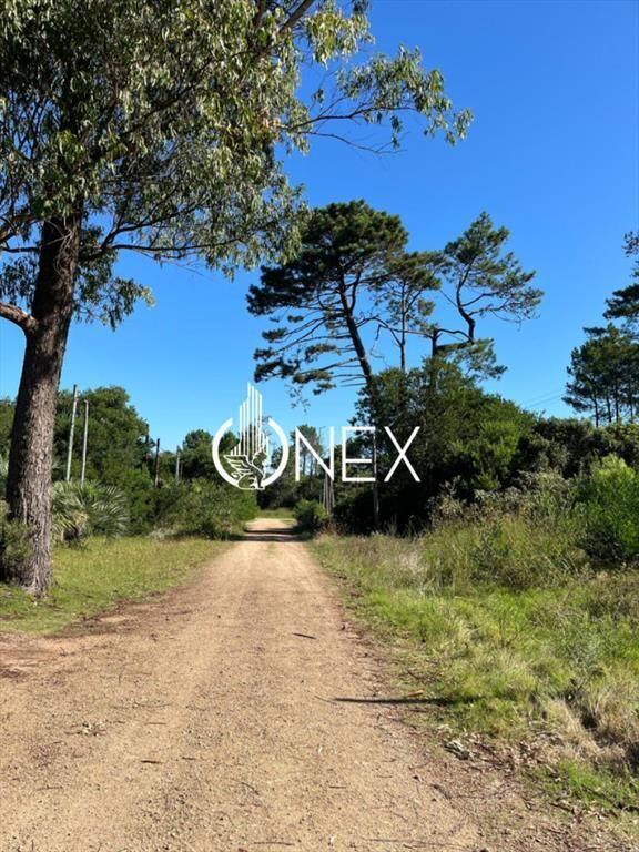 SE VENDE TERRENO EN OCEAN PARK