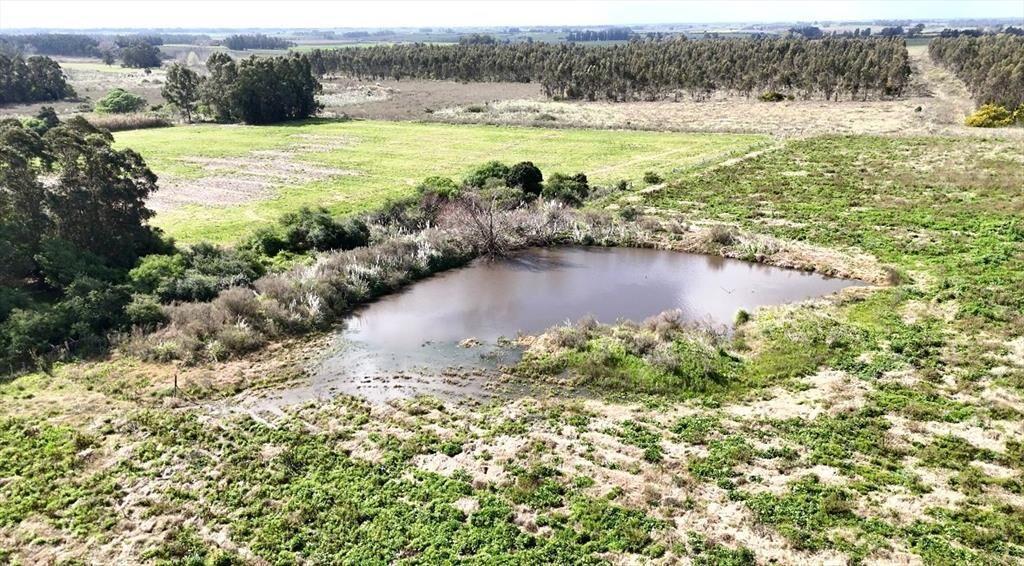 Vendo campo terreno 4,4 hectáreas c tajamar Sauce