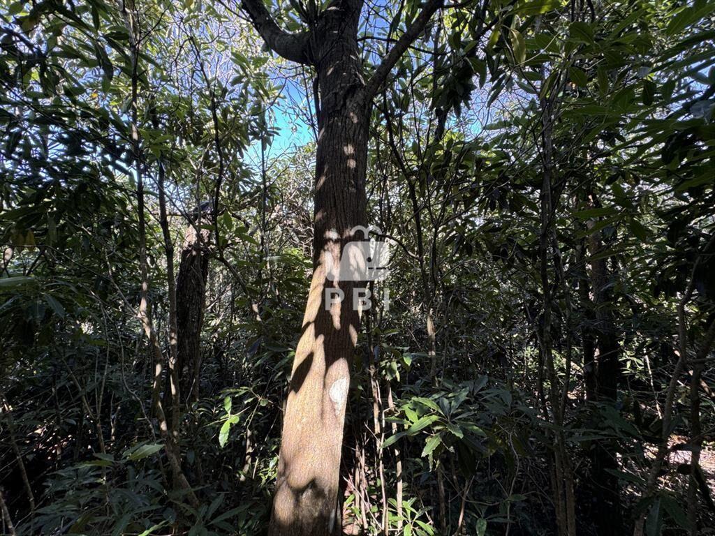 Venta terreno Las Cumbres Punta Ballena Punta del Este - Re