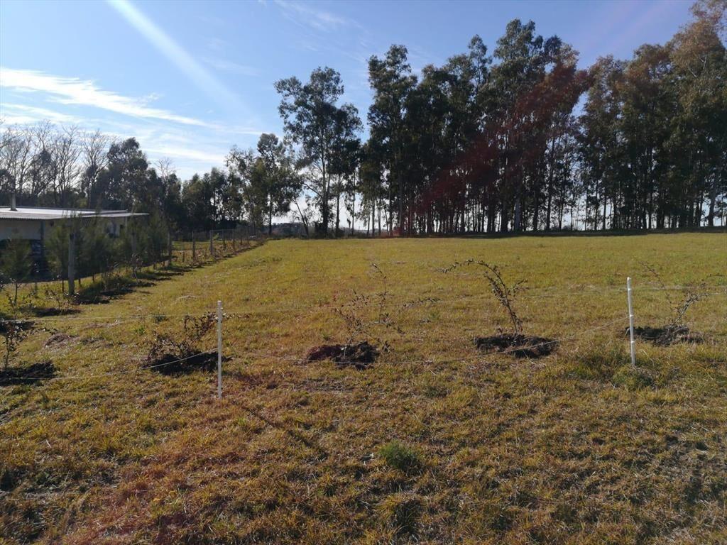 Terreno en Colonia del Sacramento