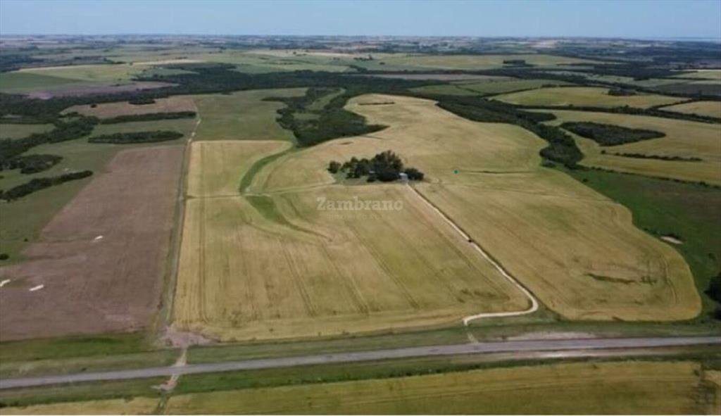 Establecimiento Agrícola Ganadero I Colonia I Ha: 224. IC: