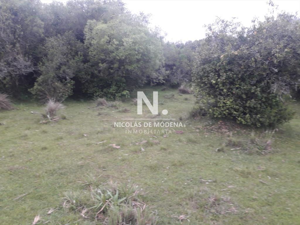 Campo de 47 has en Paraje los Caracoles - !!!!!