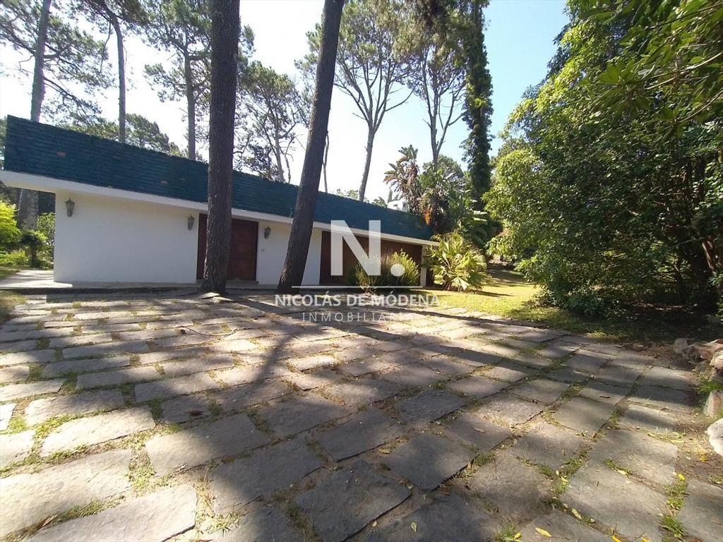 zona de san rafael prÃ³ximo a punta shopping