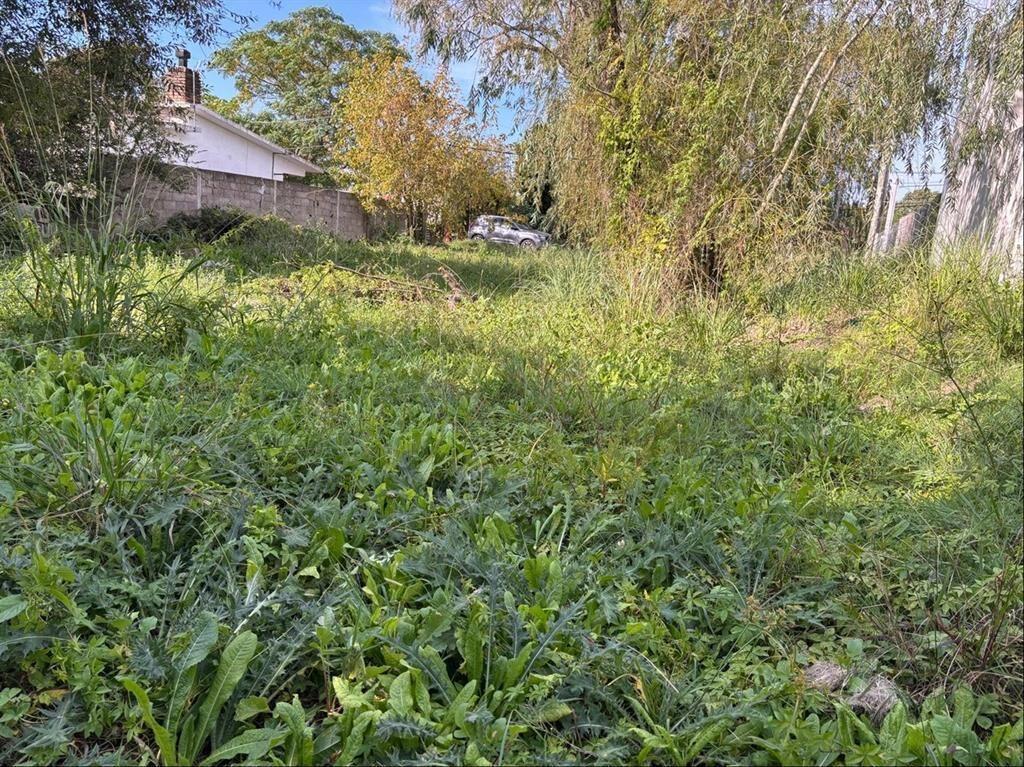 TERRENO A 250 METROS DE AV. GIANNATTASIO. Norte Lagomar Ciu