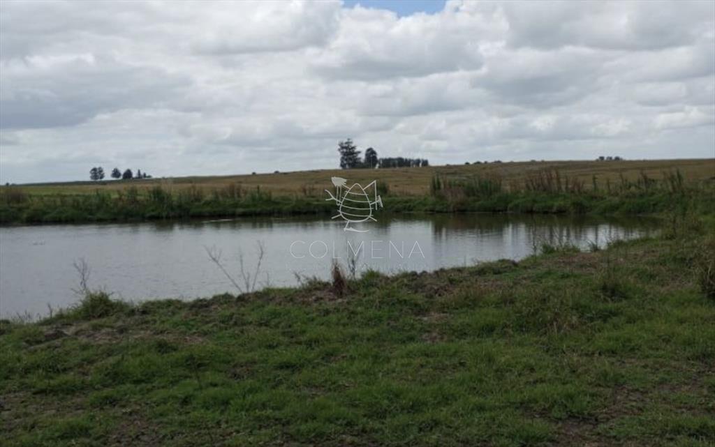 Campo en Florida agrícola-ganadero