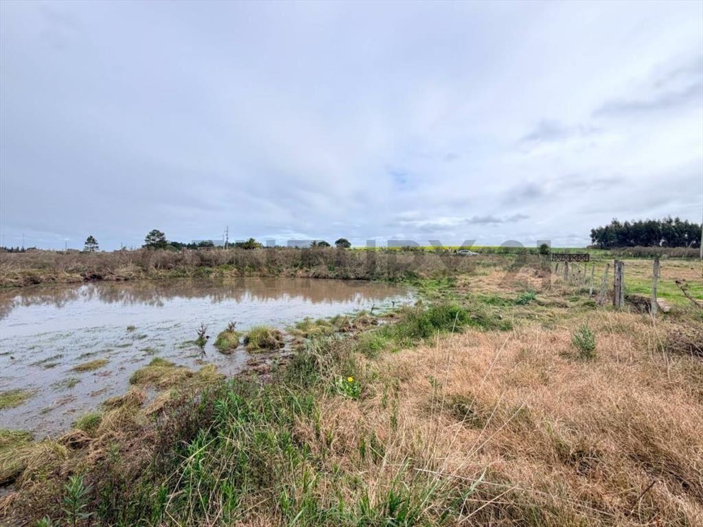Campo Alambrado en San Jacinto, C/ Gran Tajamar, Zona alt...