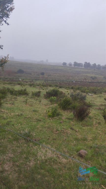 Campo de casi 9 hectáreas en venta