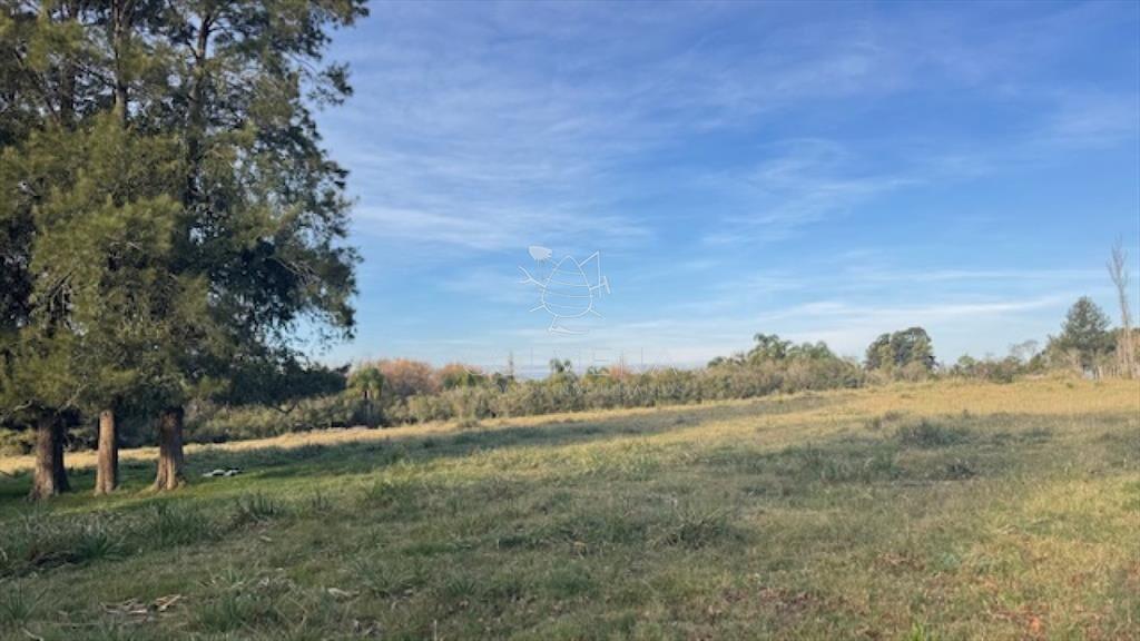 Campo de 4 has 1602 m2 muy cerca de ruta 12 y la