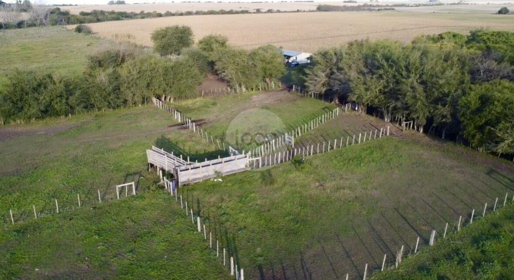Venta de Campo en Soriano de 264ha, zona del Cololo