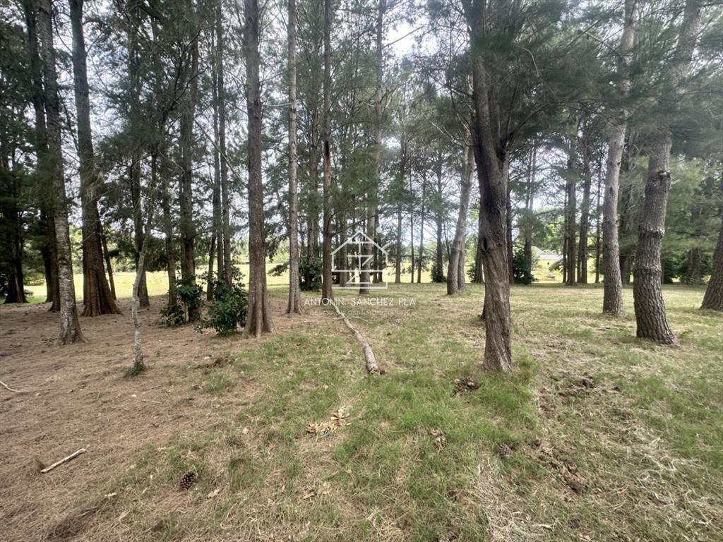 Venta chacra en punta Ballena
