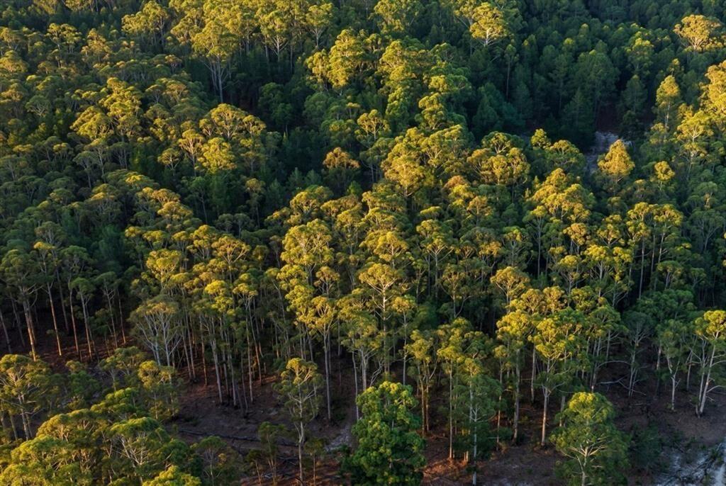 Terreno de una Hectárea a Metros del Río - Carmelo