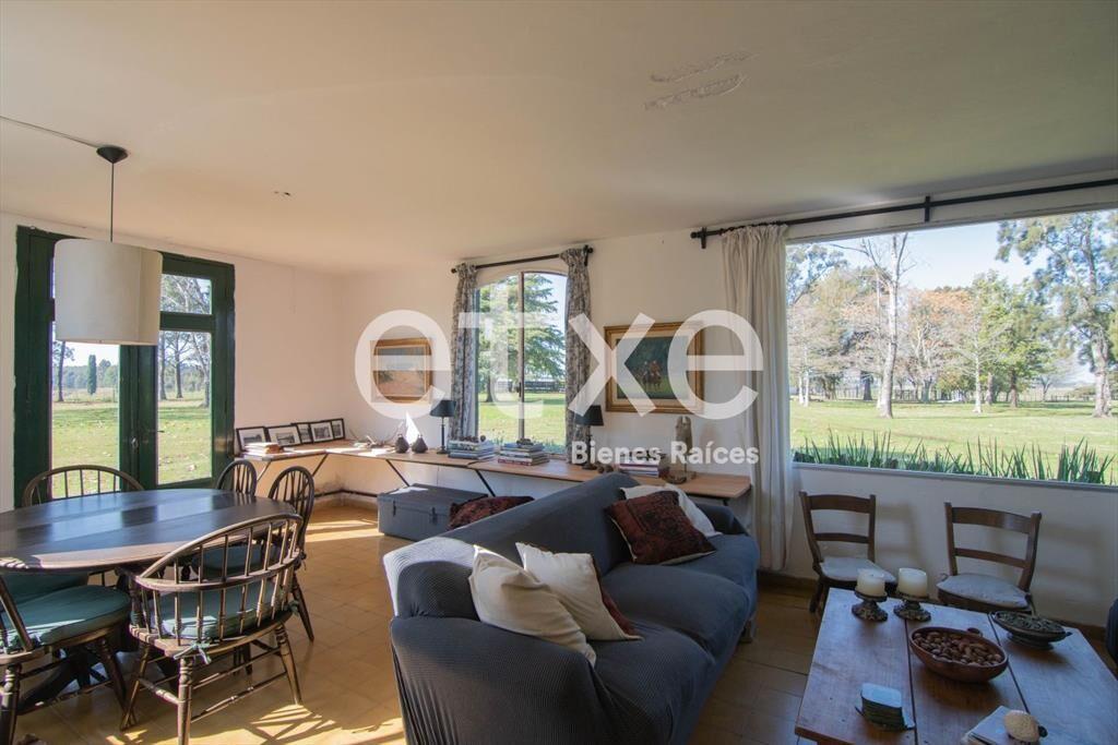 Campo Venta 382 Has Ruta 11 Canelones IDEAL FRACCIONAMIEN...
