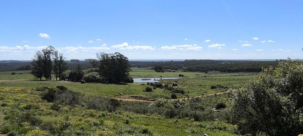 Venta de chacras de 5 hectáreas en Lavalleja, cerca de Mina