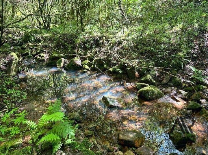 Campo en venta Lavalleja