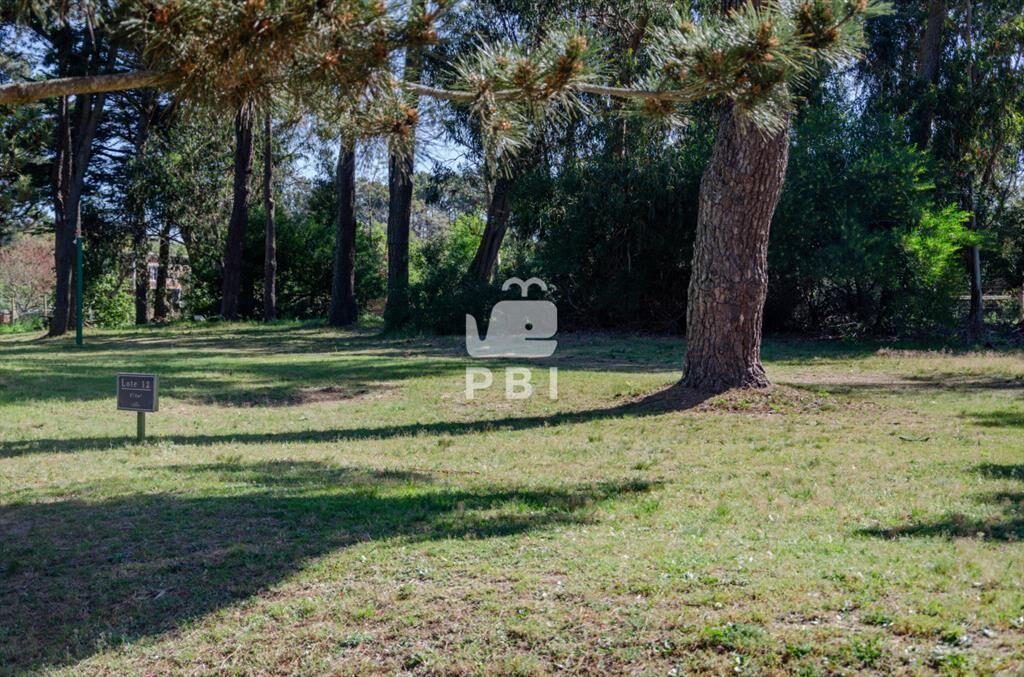Venta de Terreno en Piedras del Chileno, Punta -