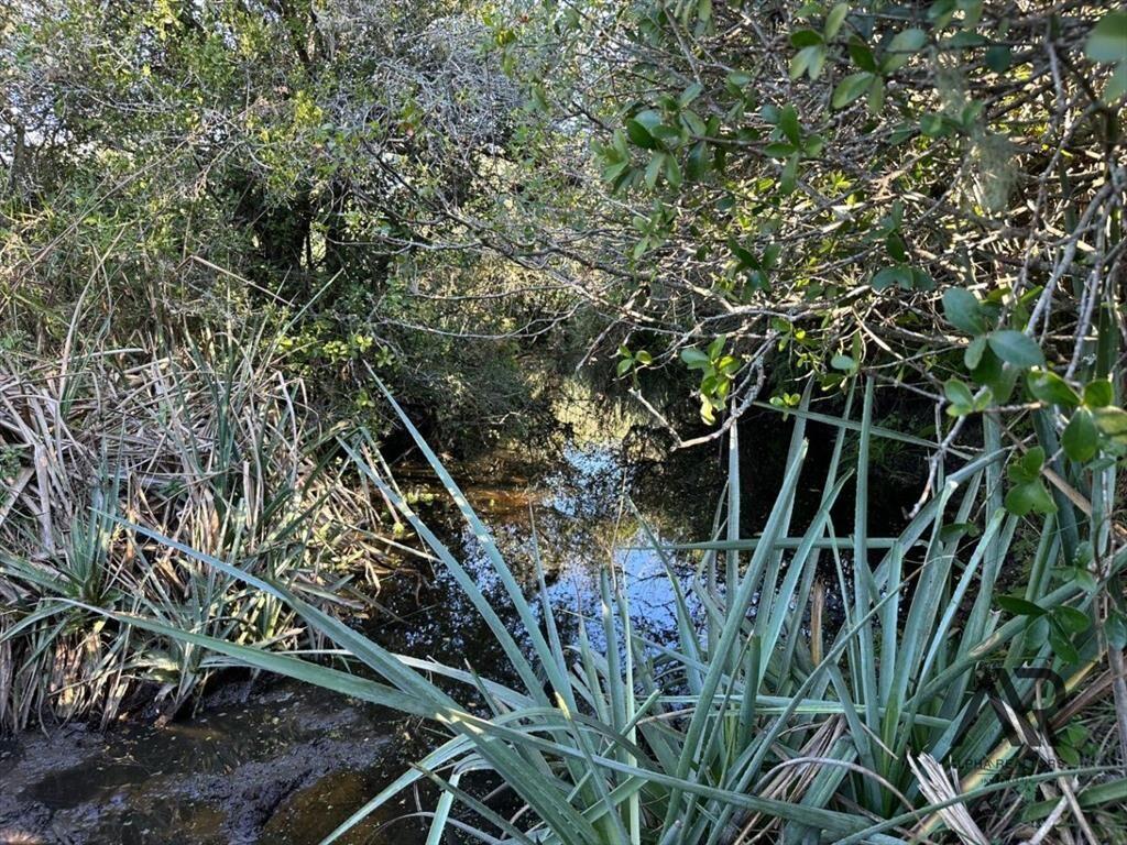 Chacra de 3 ha Laguna de José Ignacio, Maldonado/uruguay.