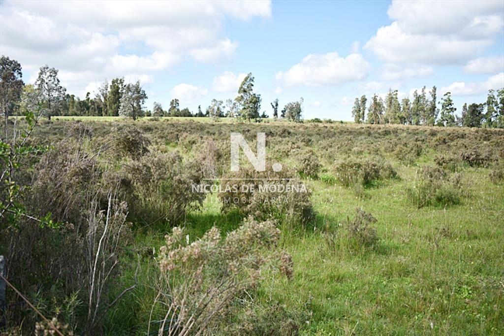 CHACRA SAN CARLOS