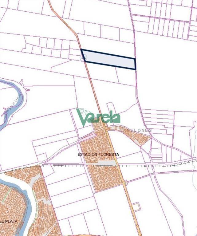 21 has entre Estación Floresta y Soca