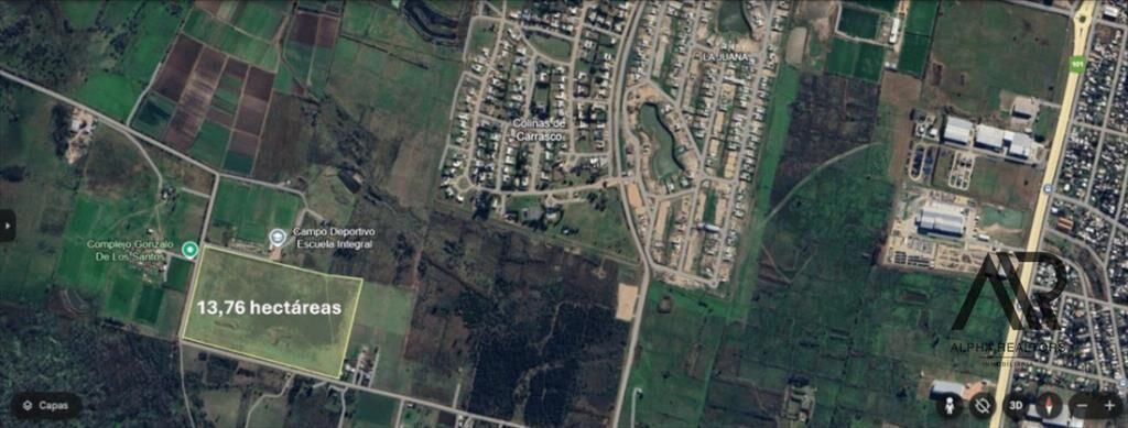 Terreno en venta de 13,76 hectáreas en Colonia Nicolich