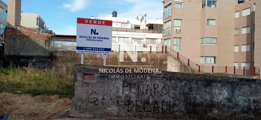 Ideal para proyecto