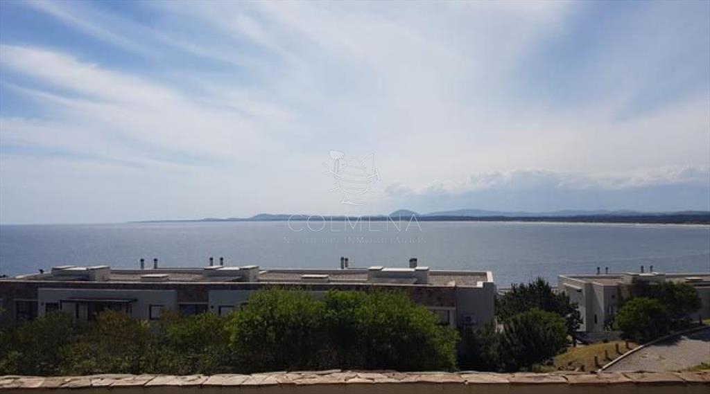 Punta ballena