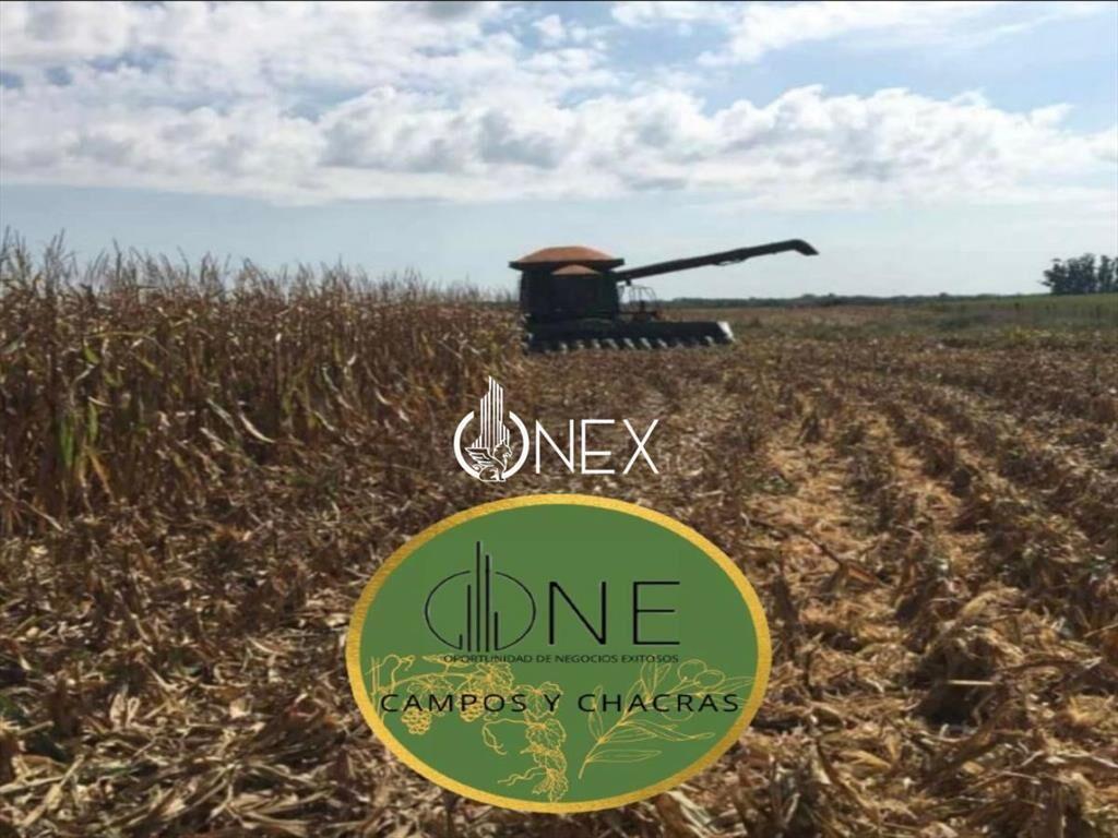 SE VENDE CAMPO AGRICOLA GANADERO EN SAN RAMÓN