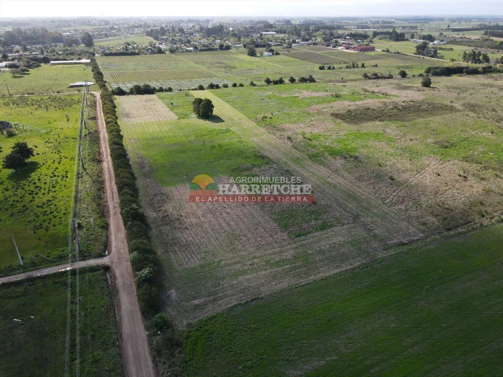Terrenos en venta en Progreso, fraccionamiento de