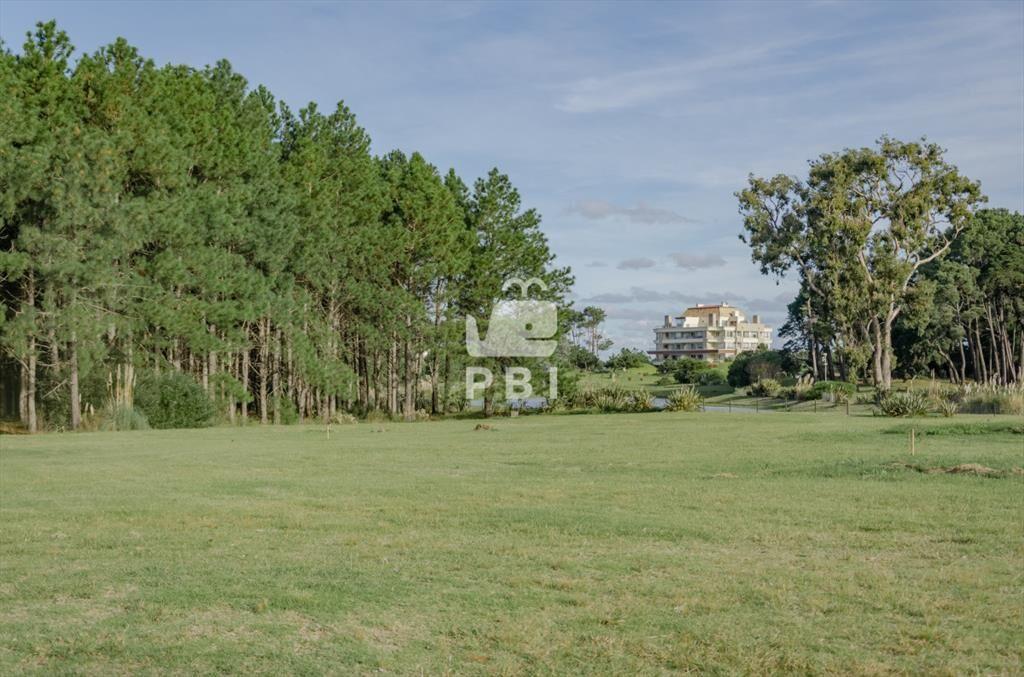Venta de Terreno en Piedras del Chileno, Punta -