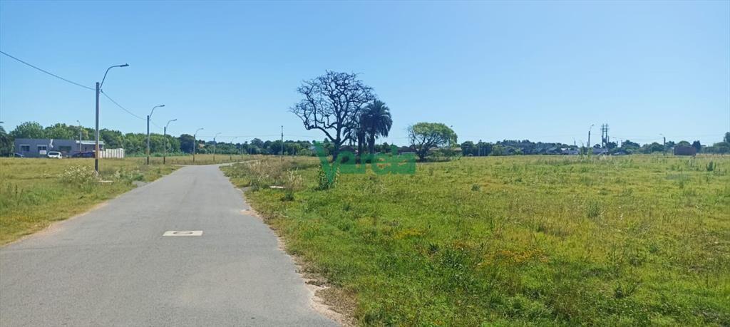 Venta últimos Terrenos con saneamiento. . Suc