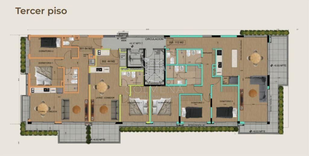 PROYECTO MODELO, nuevo lanzamiento en Punta del