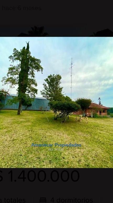 venta 60 héctareas Campo Río Negro