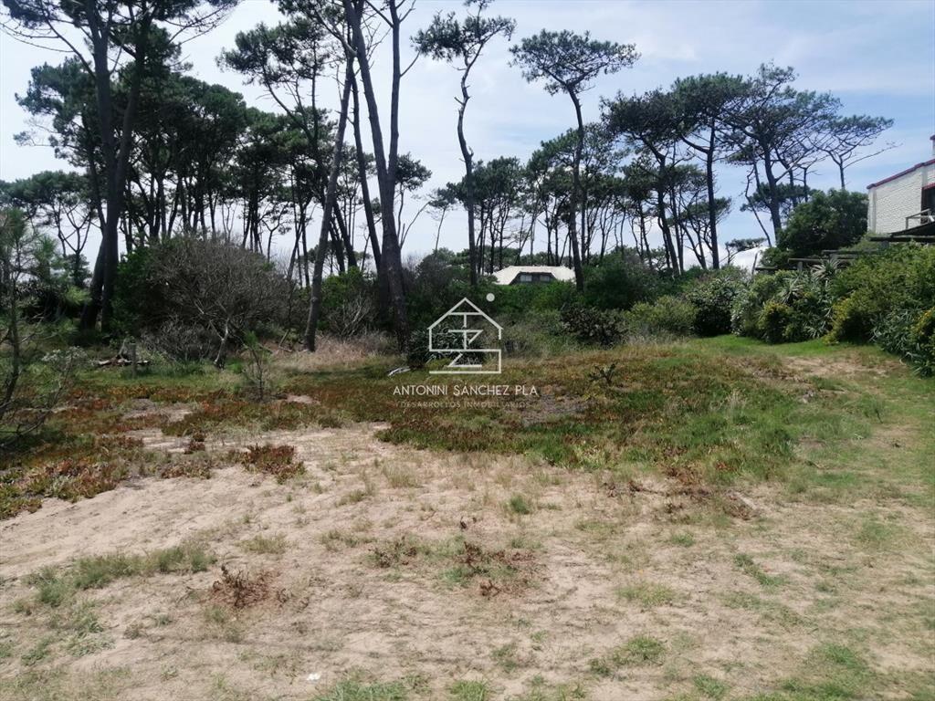 VENTA TERRENO SOLANAS