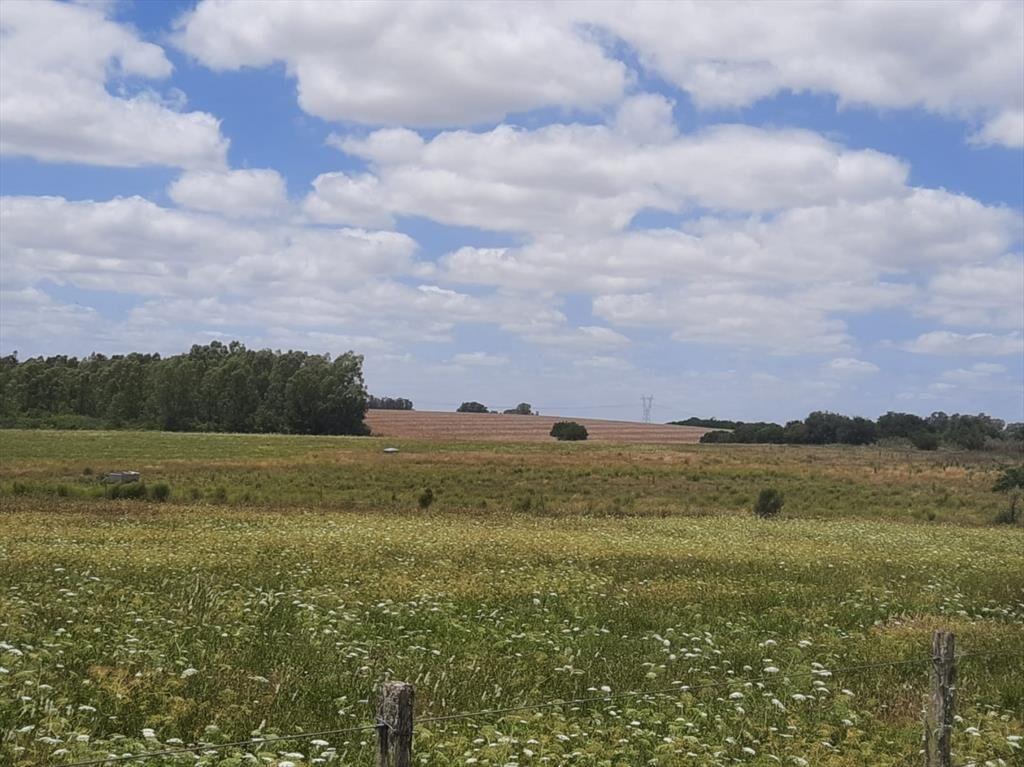 Buen predio rural, 24 héctareas a 600 m Ruta 5, KM 50.