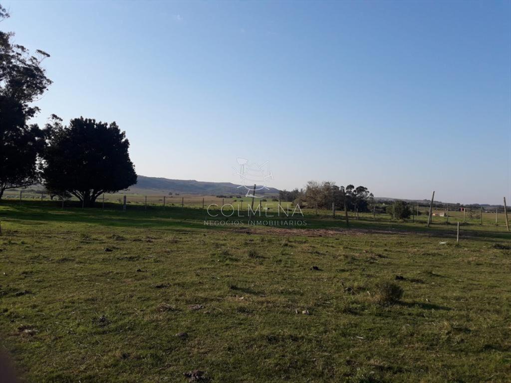Campo de 66 has con 1991 m2 - En Corte la Leña -