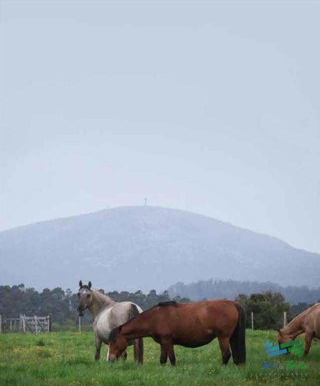 Espectacular Campo con todas las comodidades y a